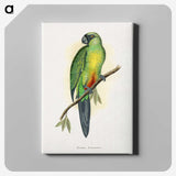 1-56_Parrots-in-Captivity_canvas