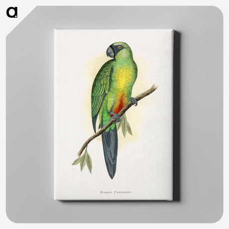 1-56_Parrots-in-Captivity_canvas