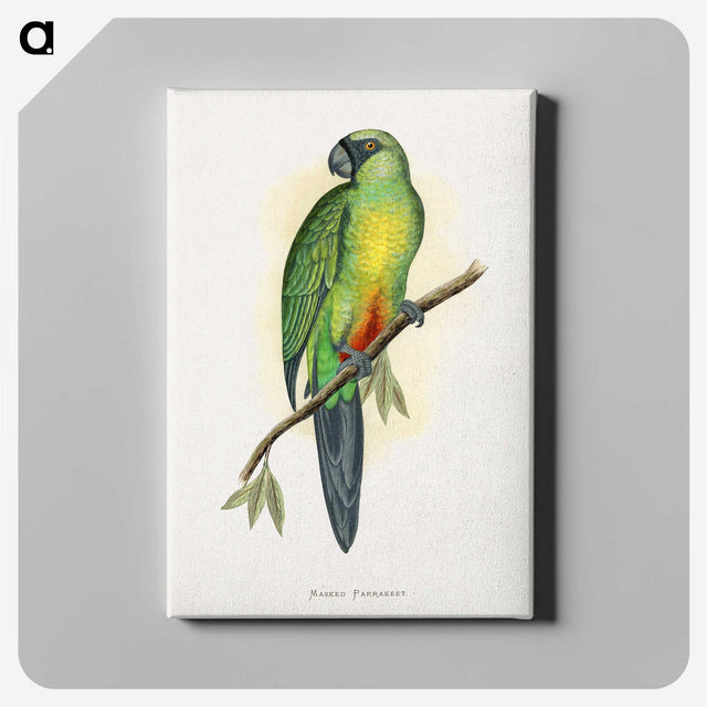 1-56_Parrots-in-Captivity_canvas