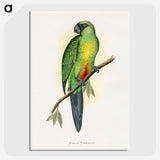 1-56_Parrots-in-Captivity_picture-crop