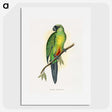 1-56_Parrots-in-Captivity_picture