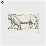 1-56_Paul-Cezanne_postcard