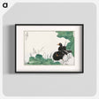 アートポスター-Coot and Lotus
 - 鳥類図鑑 Poster.