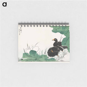 アートメモ帳-Coot and Lotus
 - 鳥類図鑑 Memo.