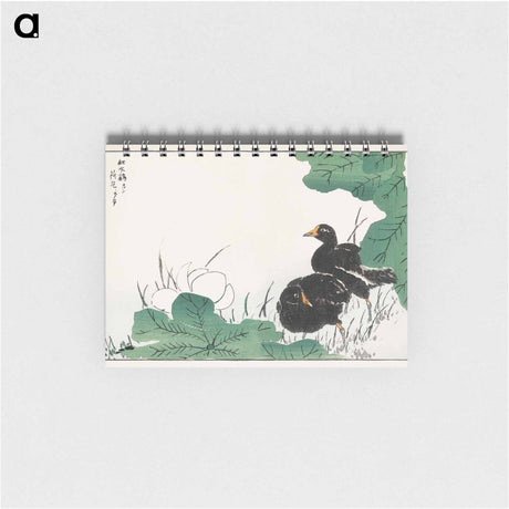 アートメモ帳-Coot and Lotus
 - 鳥類図鑑 Memo.