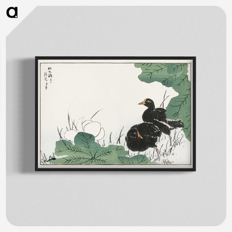 1-56_Pictorial-Monograph-of-Birds_blk-crop