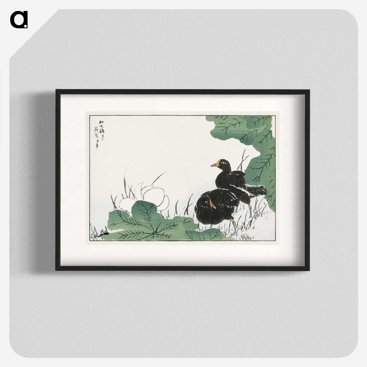 1-56_Pictorial-Monograph-of-Birds_blk