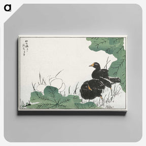 1-56_Pictorial-Monograph-of-Birds_canvas