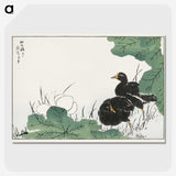 1-56_Pictorial-Monograph-of-Birds_picture-crop