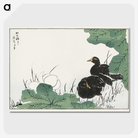 1-56_Pictorial-Monograph-of-Birds_picture-crop
