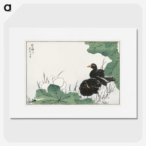 1-56_Pictorial-Monograph-of-Birds_picture