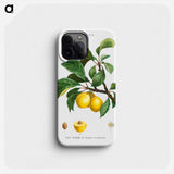 Plum (Pruner de Sainte-Catherine) - Pierre Joseph Redouté Phone Case.