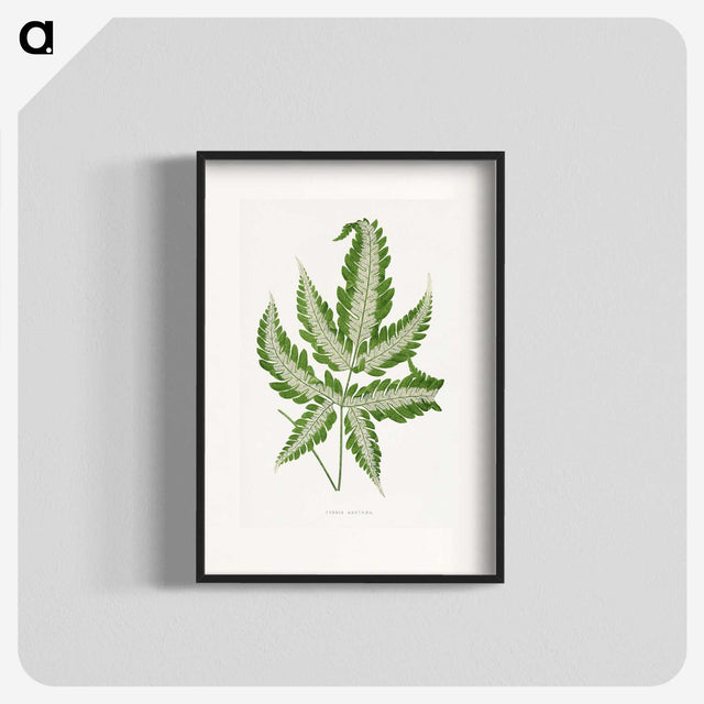 1-56_Plants-with-Colored-Foliage_blk