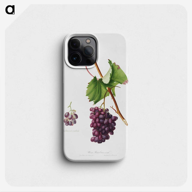 1-56_Pomona-Italiana_phone
