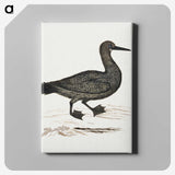 1-56_Robert-Jacob-Gordon_canvas