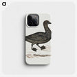 1-56_Robert-Jacob-Gordon_phone