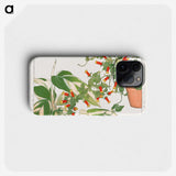 1-56_Seiyo-Soka-Zufu_phone