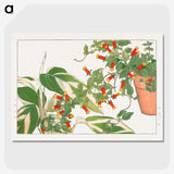 1-56_Seiyo-Soka-Zufu_picture-crop