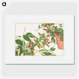 1-56_Seiyo-Soka-Zufu_picture