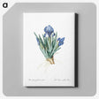 1-56_The-Lilies_canvas