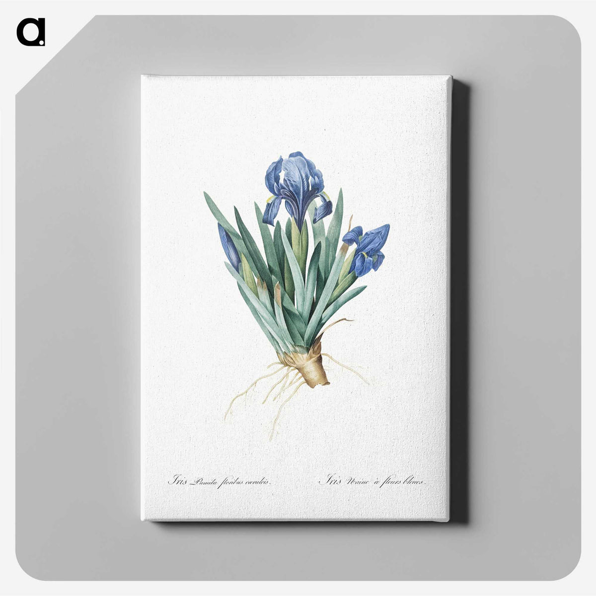 1-56_The-Lilies_canvas