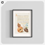 アートポスター-Queen of Spain Fritillary, Apple, Mouse, and Creeping Forget Me Not
 - 書道のお手本 Poster.
