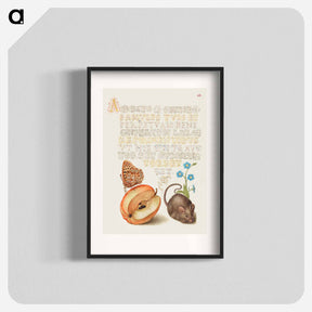 アートポスター-Queen of Spain Fritillary, Apple, Mouse, and Creeping Forget Me Not
 - 書道のお手本 Poster.