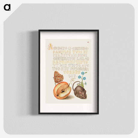 アートポスター-Queen of Spain Fritillary, Apple, Mouse, and Creeping Forget Me Not
 - 書道のお手本 Poster.