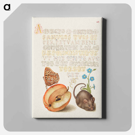 アートパネル-Queen of Spain Fritillary, Apple, Mouse, and Creeping Forget Me Not
 - 書道のお手本 Canvas.
