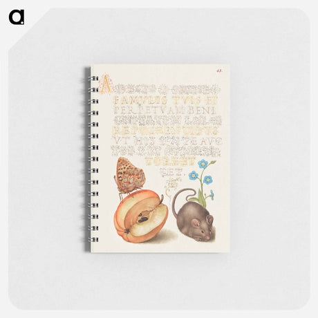 アートメモ帳-Queen of Spain Fritillary, Apple, Mouse, and Creeping Forget Me Not
 - 書道のお手本 Memo.