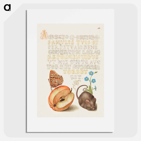 アートポスター-Queen of Spain Fritillary, Apple, Mouse, and Creeping Forget Me Not
 - 書道のお手本 Poster.