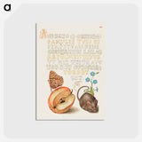 アートポストカード-Queen of Spain Fritillary, Apple, Mouse, and Creeping Forget Me Not
 - 書道のお手本 Postcard.