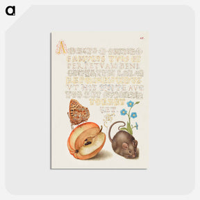 アートポストカード-Queen of Spain Fritillary, Apple, Mouse, and Creeping Forget Me Not
 - 書道のお手本 Postcard.