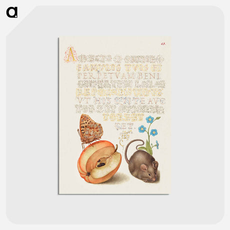 アートポストカード-Queen of Spain Fritillary, Apple, Mouse, and Creeping Forget Me Not
 - 書道のお手本 Postcard.