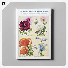 1-56_The-Open-Door-to-Independence_canvas