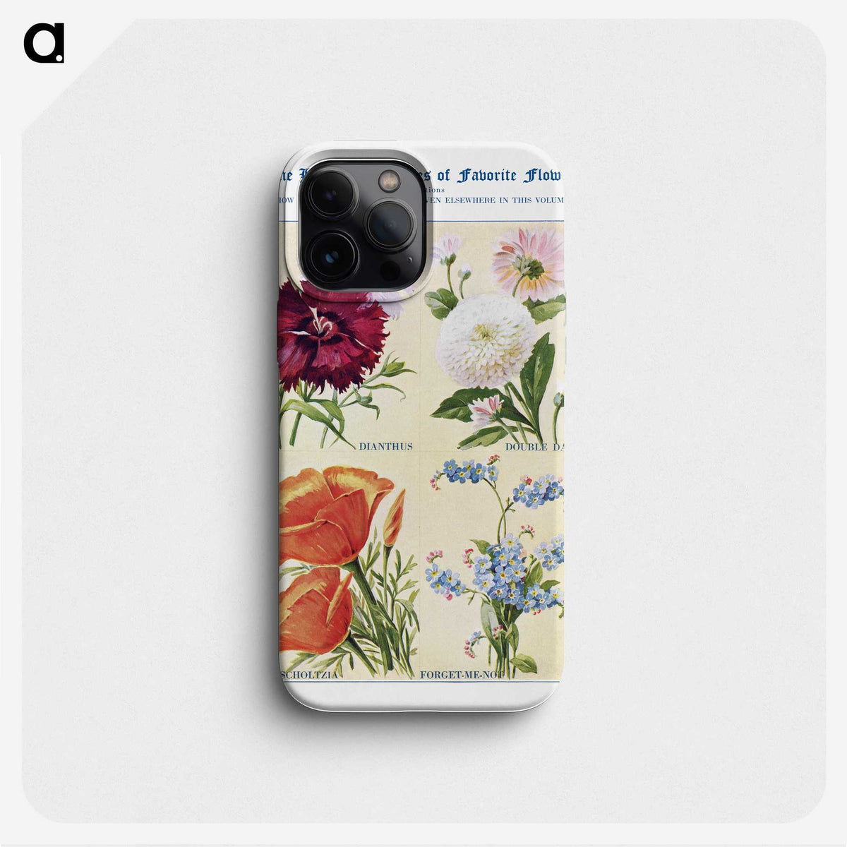 1-56_The-Open-Door-to-Independence_phone