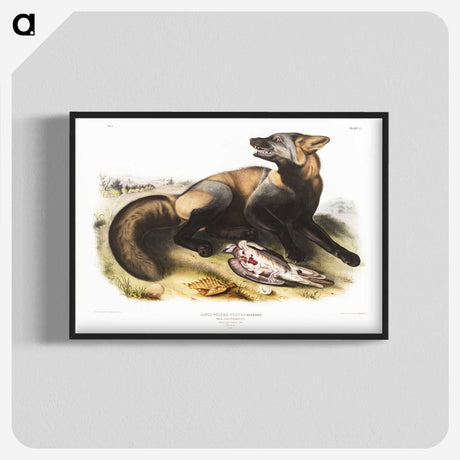 1-56_The-Viviparous-Quadrupeds_blk-crop
