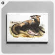 1-56_The-Viviparous-Quadrupeds_canvas
