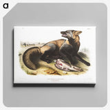 1-56_The-Viviparous-Quadrupeds_canvas