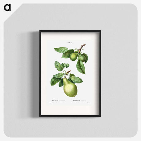 1-56_Treatise-on-Trees-and-Shrubs_blk