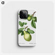 1-56_Treatise-on-Trees-and-Shrubs_phone