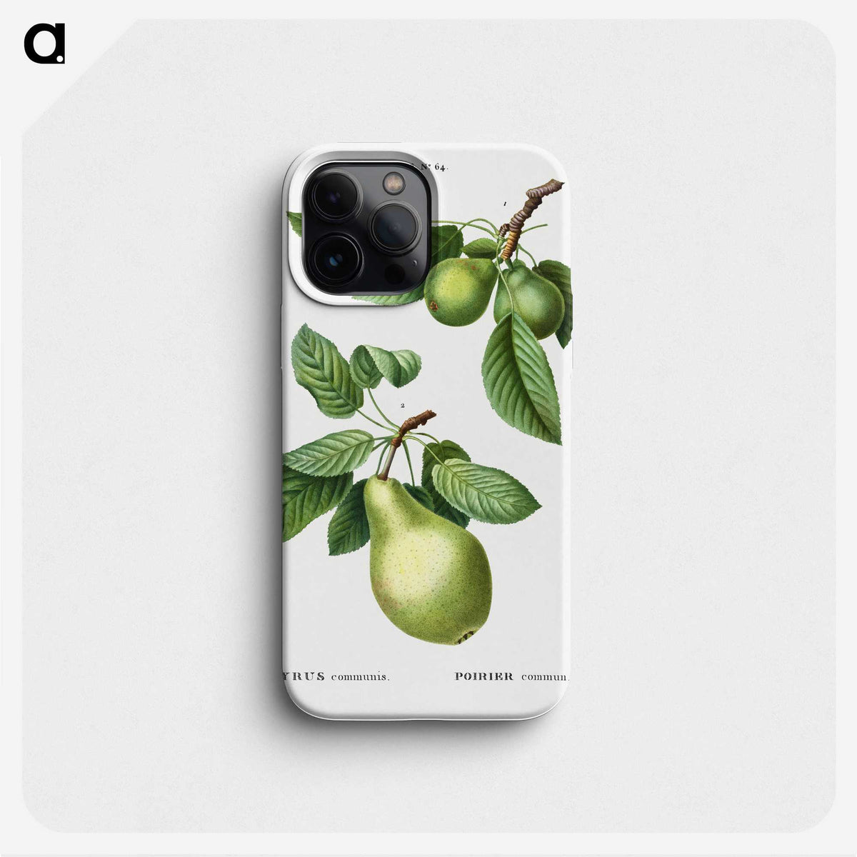 1-56_Treatise-on-Trees-and-Shrubs_phone