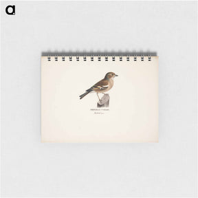 アートメモ帳-Female chaffinch - ヴィルヘルム フォン ライト Memo.