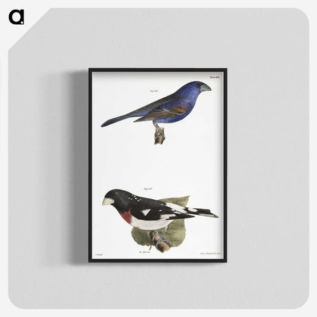 1-56_Zoology-of-New-York_blk-crop