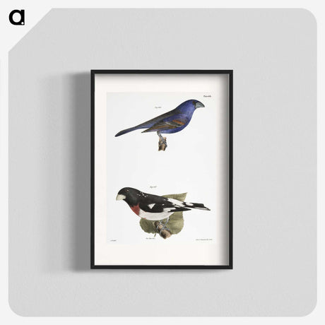 1-56_Zoology-of-New-York_blk