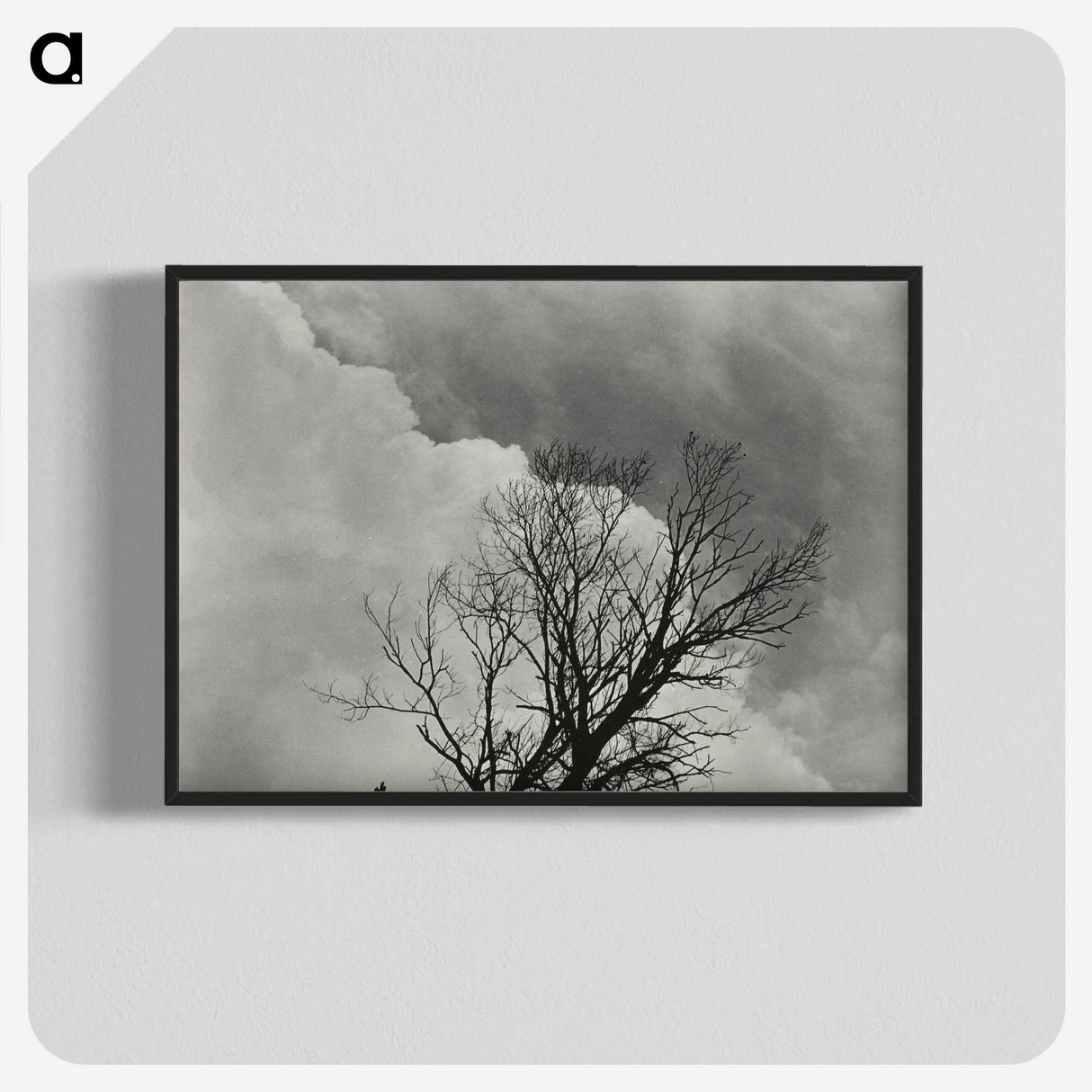 1-57_Alfred-Stieglitz_blk-crop
