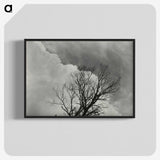 1-57_Alfred-Stieglitz_blk-crop