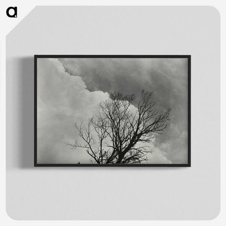 1-57_Alfred-Stieglitz_blk-crop
