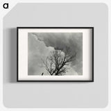 1-57_Alfred-Stieglitz_blk