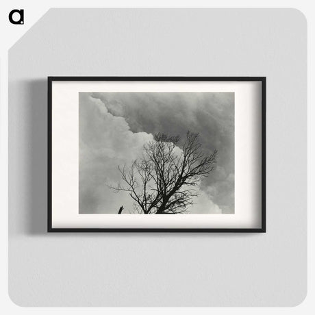 1-57_Alfred-Stieglitz_blk